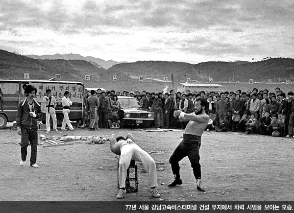 보니 이미지