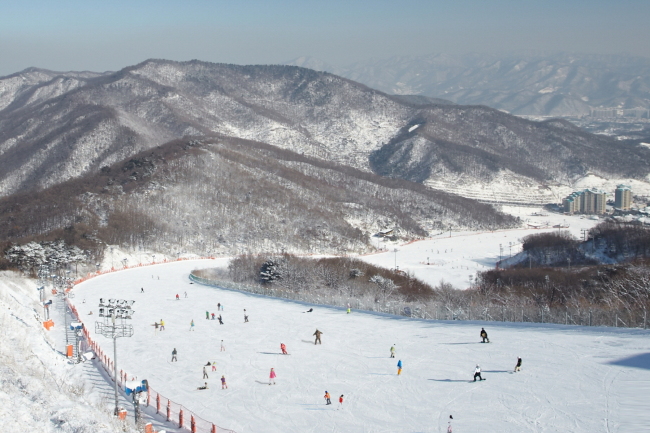 더 편안 리조트 이미지