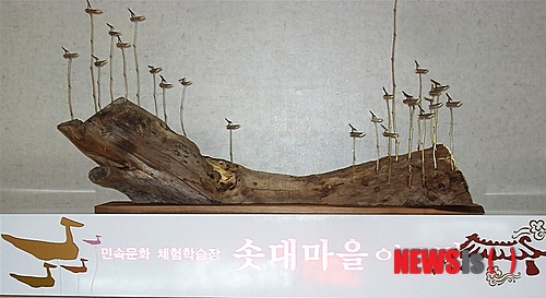 와이제이광고기획 이미지