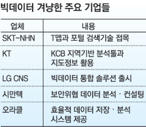 ２１데이타 이미지