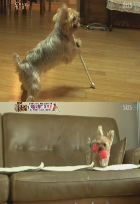 또또 이미지
