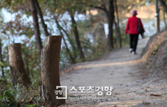 올레스포츠 이미지