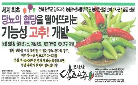 당조 이미지