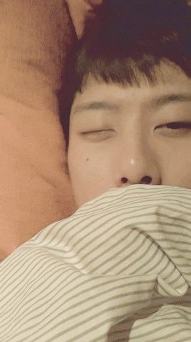 부스스 이미지