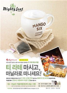 티식스 이미지