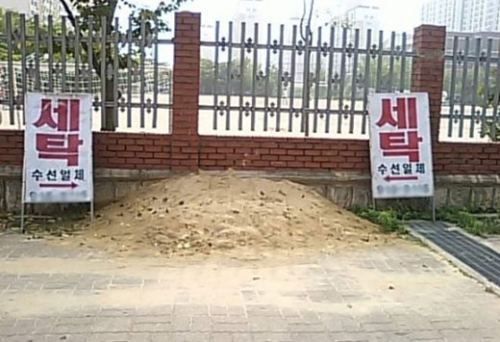 라이프세탁소 이미지