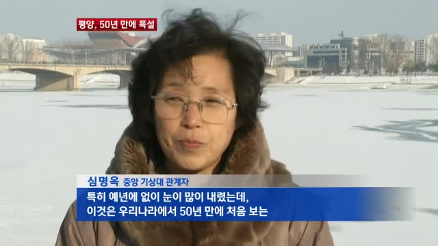 거북이자동차나라 이미지