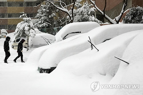 내차처럼 이미지
