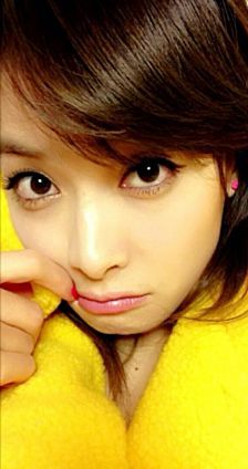 노란병아리 이미지