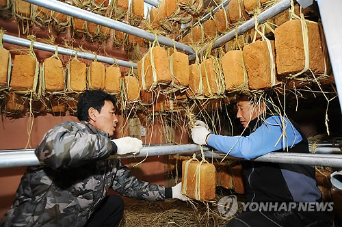 양구친환경영농조합법인 이미지