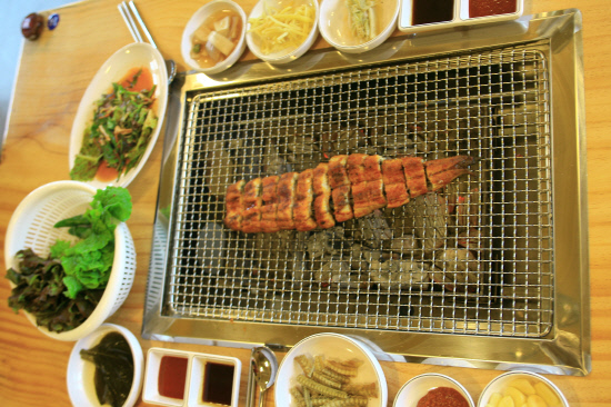 가족장어 이미지