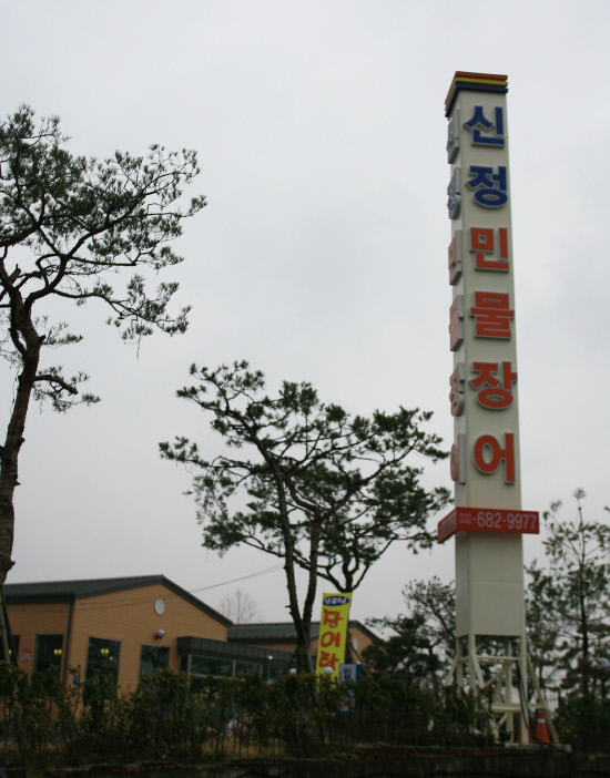 가족장어 이미지