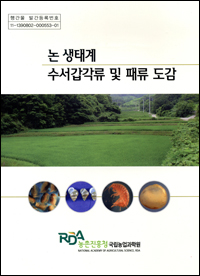 채혜성 이미지