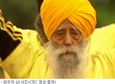 파우자 이미지