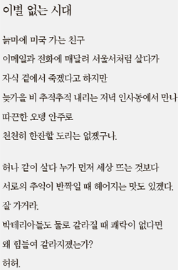 채다 이미지