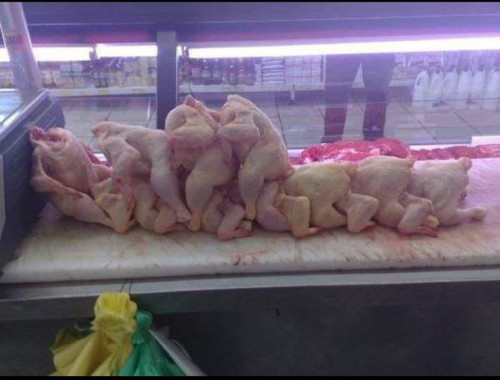 하나닭집 이미지