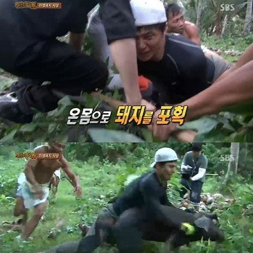 돼지사냥 이미지