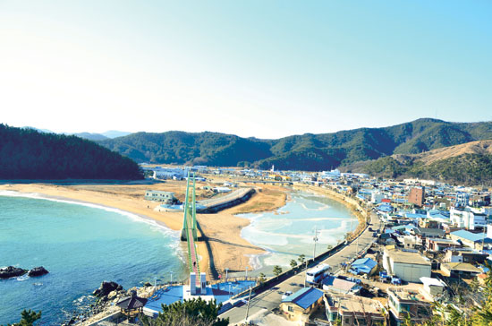 블루컨설팅 이미지
