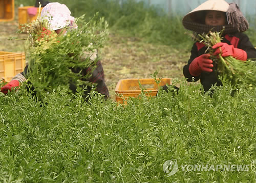 청정환경영농조합법인 이미지