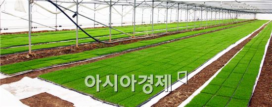 보성유기질비료 이미지