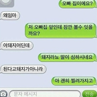 돼지오빠 이미지