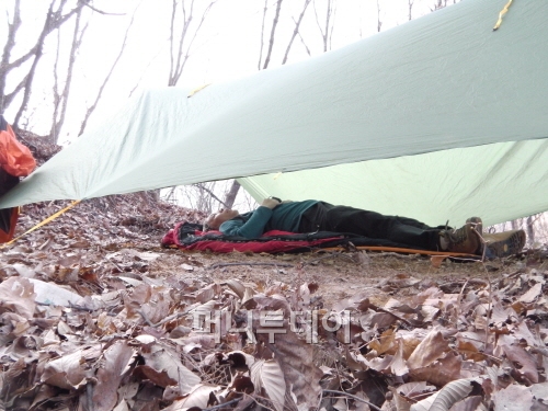 비비노마드 이미지