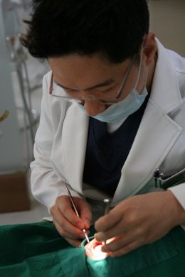 우리더블유치과 이미지