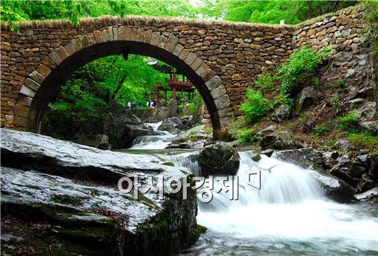 호남대표 이미지