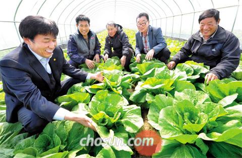 단계유통 이미지