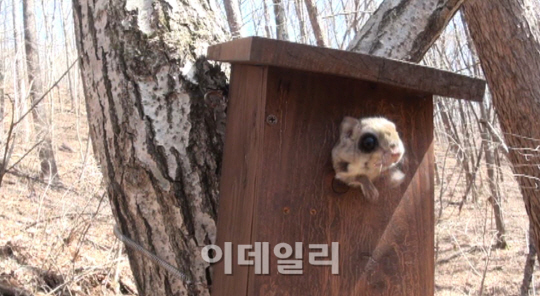 둥지종합관리 이미지