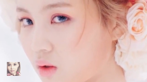로즈(Rose) 이미지