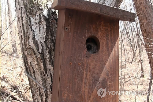 둥지종합관리 이미지