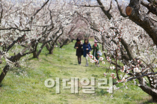 천지농원 이미지