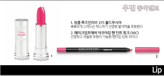 브라운에디터 이미지