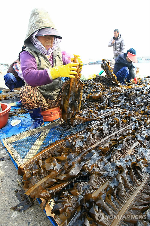 청정미역 이미지