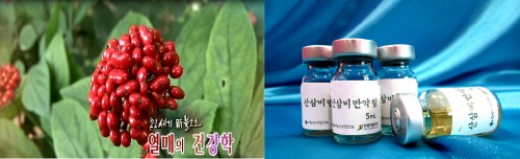 인삼불로초 이미지