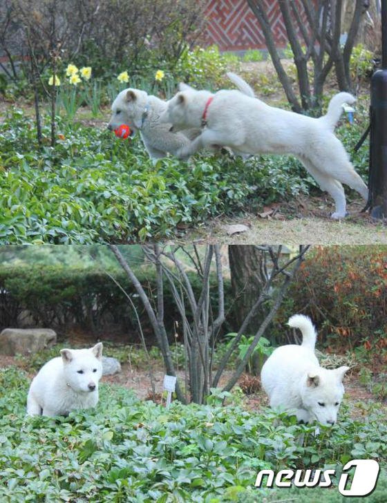 (주)새롬 이미지