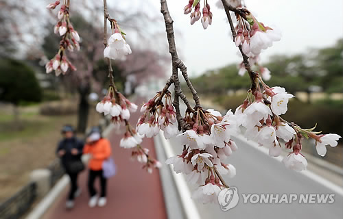 수양 이미지
