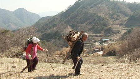 시골 이미지