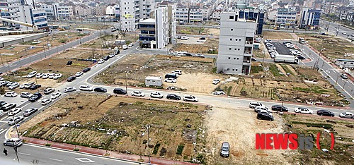 대중청과 이미지