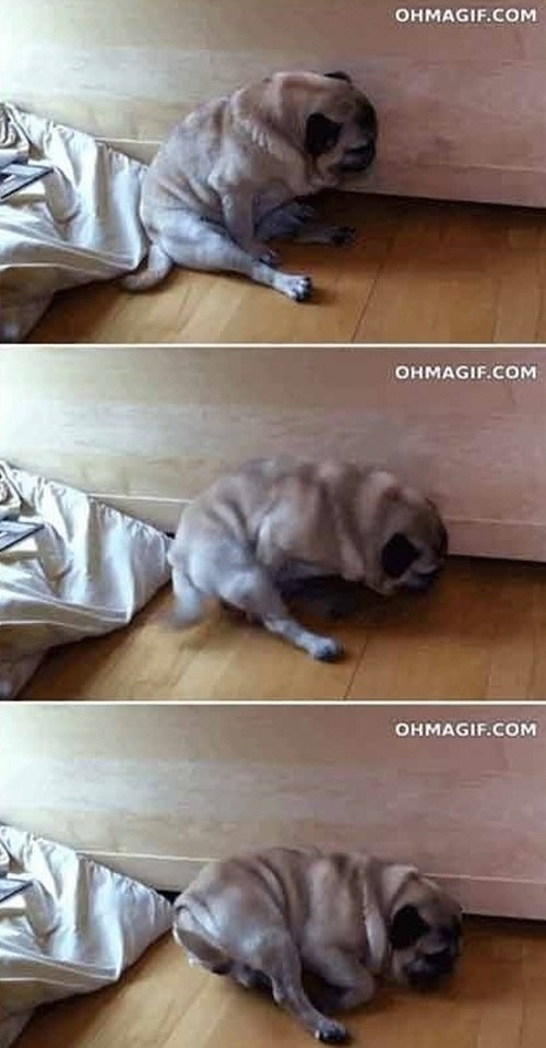 오후두시 이미지