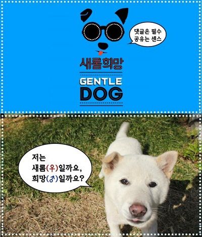 카카오스토리 이미지