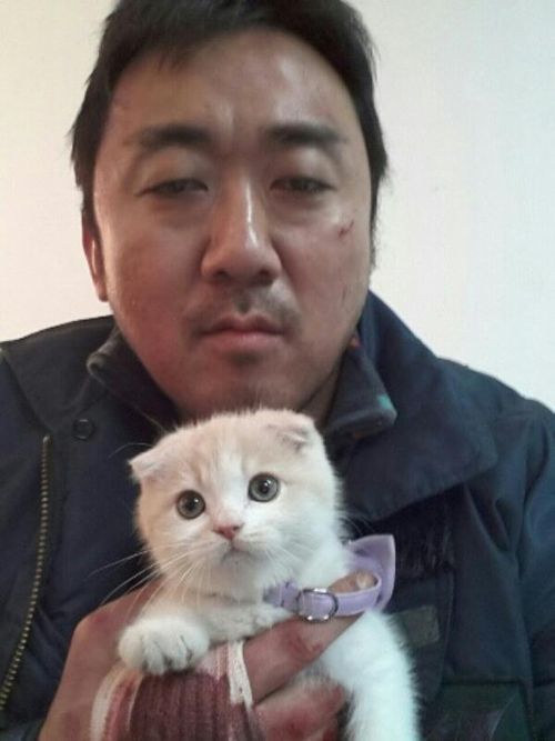 나랑놀자! 이미지