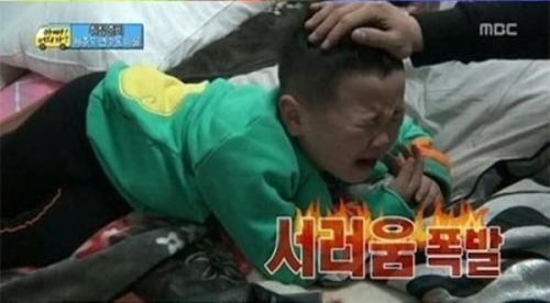 왕거미 이미지