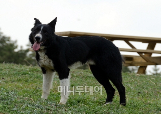 안녕하세요 이미지