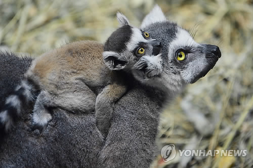 카메라사랑 이미지