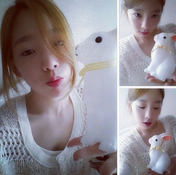 보송보송 이미지