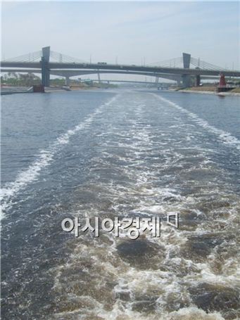 호:아라 이미지