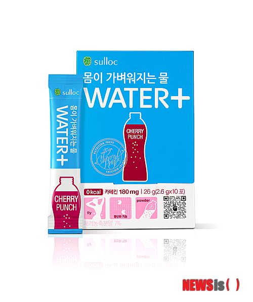 체리체형관리 이미지