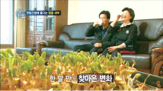 땅콩재봉틀 이미지